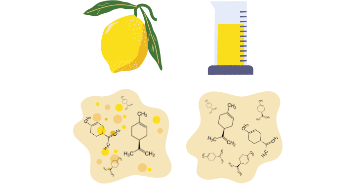 limonene allergi parfume naturlig